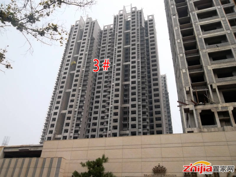 龙湖公馆工程进度