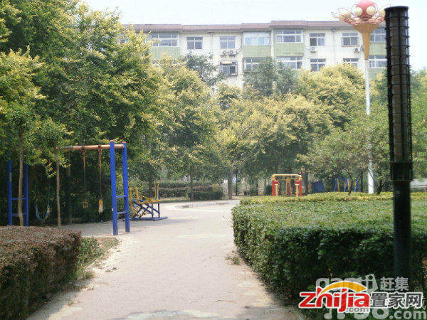 中华南邯钢罗三生活 3室1厅1卫 75m² 租金1100元/月