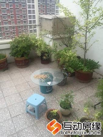 新一代C区 5室 跃层 精装修 带车位地下室 老本 可贷款