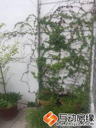 新一代C区 5室 跃层 精装修 带车位地下室 老本 可贷款