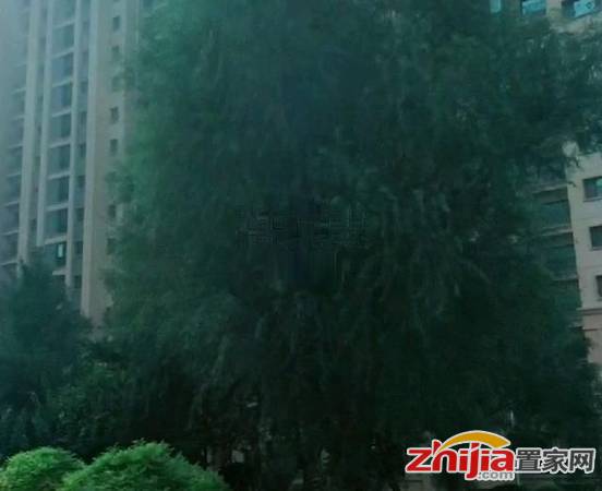 恒大御景半岛 1室0厅0卫