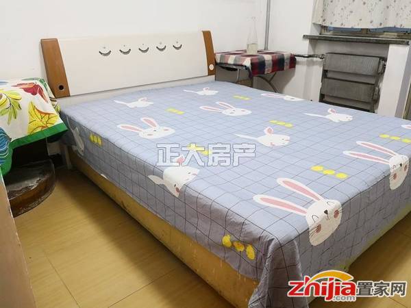 干净整洁 核四院宿舍 2室1厅1卫 精装 随时看房 万