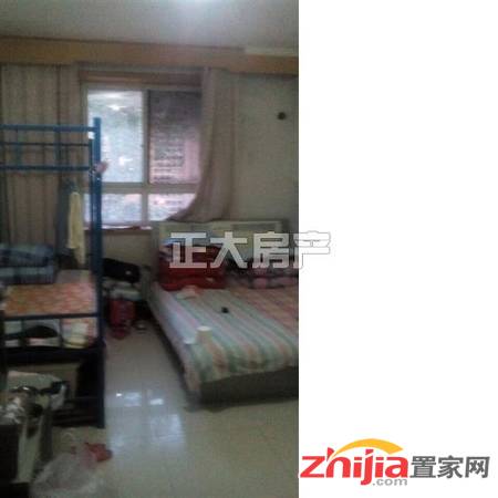 好房出租 十二化建宿舍 3室1厅1卫 简装 实景照片 拎包入