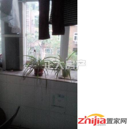 好房出租 十二化建宿舍 3室1厅1卫 简装 实景照片 拎包入