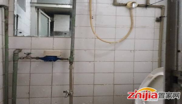 好房出租 万达西临 核四院小区 1室1厅 随时可看
