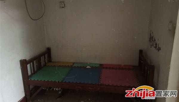 尖岭小区 1室1厅 1000元 实景照片 随时可看