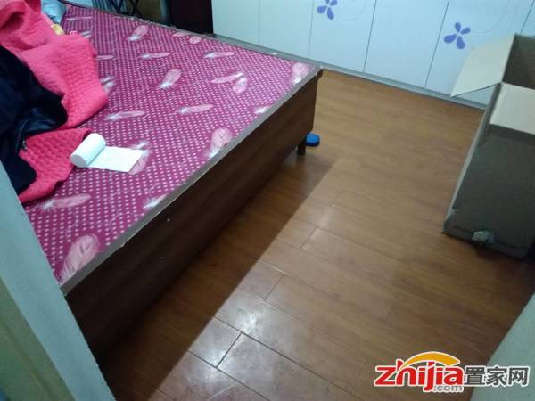 棉机家属院 2室1厅1卫 50m² 租金800元/月