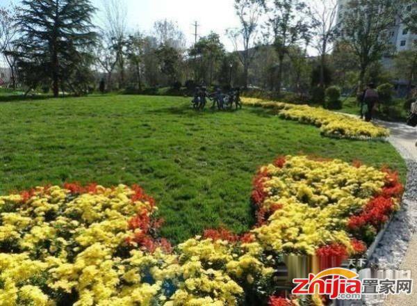 保真 北二环保利花园送20万豪华装修奥北恒大御景半岛商圈急售
