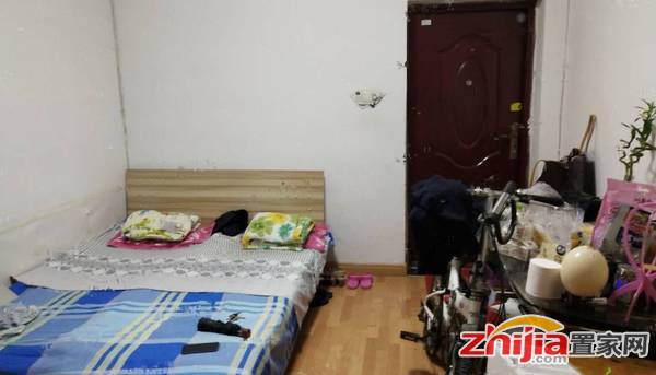 好房整租 实景照片 干净整洁 青园小区 1室1厅
