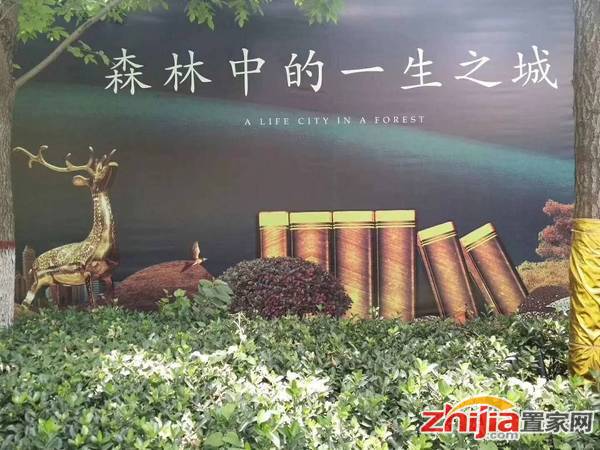 赵佗公园旁 北二环红星街 高远森林城 找我买