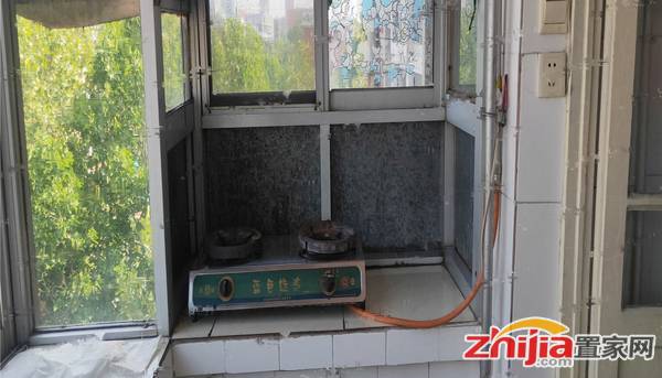 怀特商圈 实景照片 青园小区 2室1厅 南 拎包入住