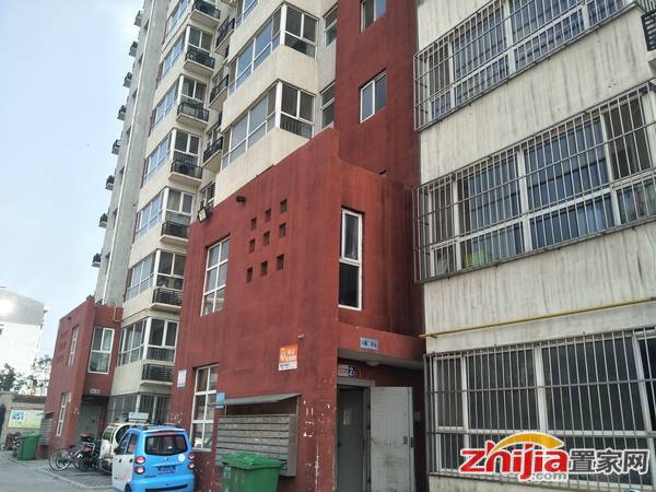 急售精装小两室 无税 首付23万 想象国际小學 海世界地鉄旁