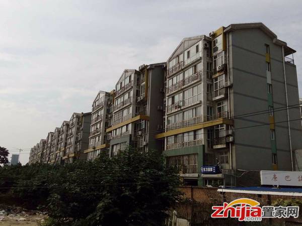火炬广场旁 通厅通卧大两室 115万 无税 直降10万 急