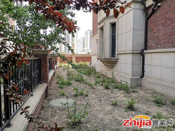 急售直降300万,半亩多地,醉便宜楼头大院,2车库屋内带电梯