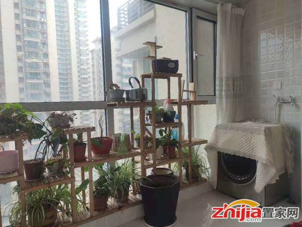 小三室 中间楼层 精装修 品质社区 环境优美 业主诚心卖