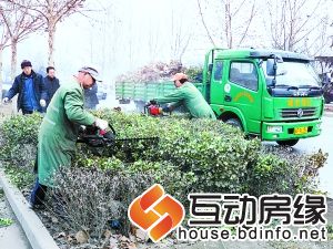 全面修整绿化带 