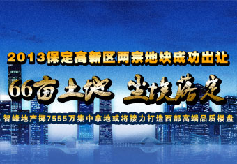 土地拍卖结果公布 两宗地块皆被智峰地产收入囊中