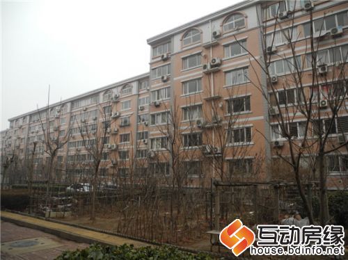 小区内公共绿地上私人搭建的葡萄架