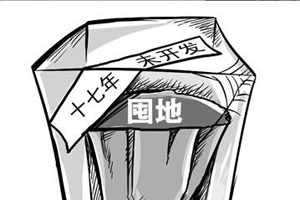 分析人士称对囤地不妨先收回再处罚