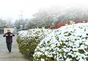春分当日雨夹雪