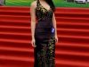 保定春季车房联展美女车模