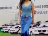 保定春季车房联展美女车模