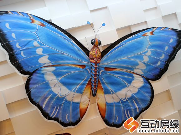 蝴蝶风筝
