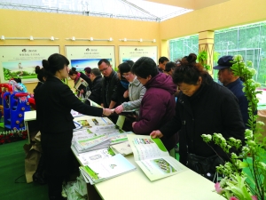 观展者在房产去咨询