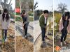 男女老少来植树