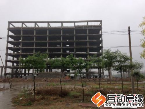 在麦地里闲置了3年的办公楼。 张鹏翔 摄