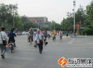 保定整治“中国式过马路” 不但罚款还将曝光