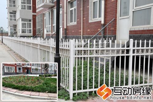 图为一楼小院及绿化