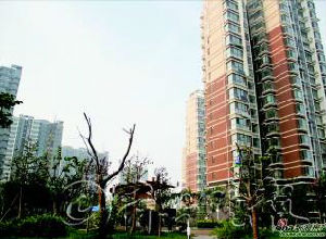 济南路劲御景城小区隐瞒实情 法律定义为欺诈