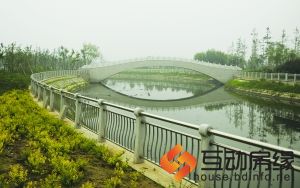 ’一湖静水让我们心中也多了几许清凉与安静‘