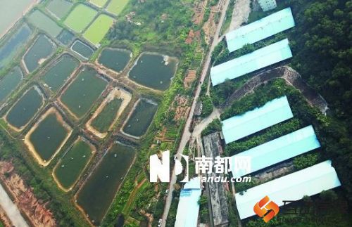 现在航拍三灶机场附近，仍然是大片农田，保留了上世纪八十年代初的面貌。