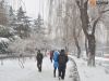赏雪