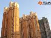 Park湾工程进度