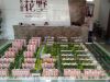 爱上城·花墅 效果图