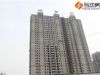 哈罗城1#楼