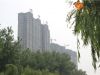 哈罗城1#远景