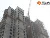哈罗城8#