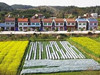 多省探索宅基地退出模式 专家:谨防再现耕地乱象
