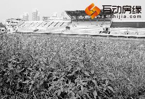 保定体育场一年了重修没成 杂草丛生垃圾成堆