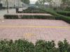新世纪花园B区工程进度