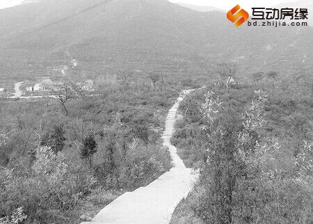 正在绿化的西山森林公园