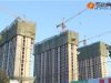 苏堤杭城  施工进度图