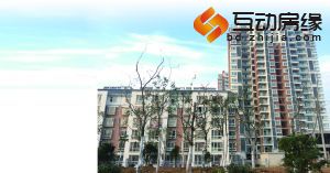 错配成命门 小城BT难渡偿债“生死劫”