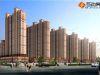 湿地华城 效果图
