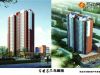 书香茗苑效果图