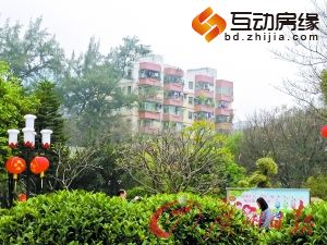 整体政策环境放松 二手楼市或随一手转强